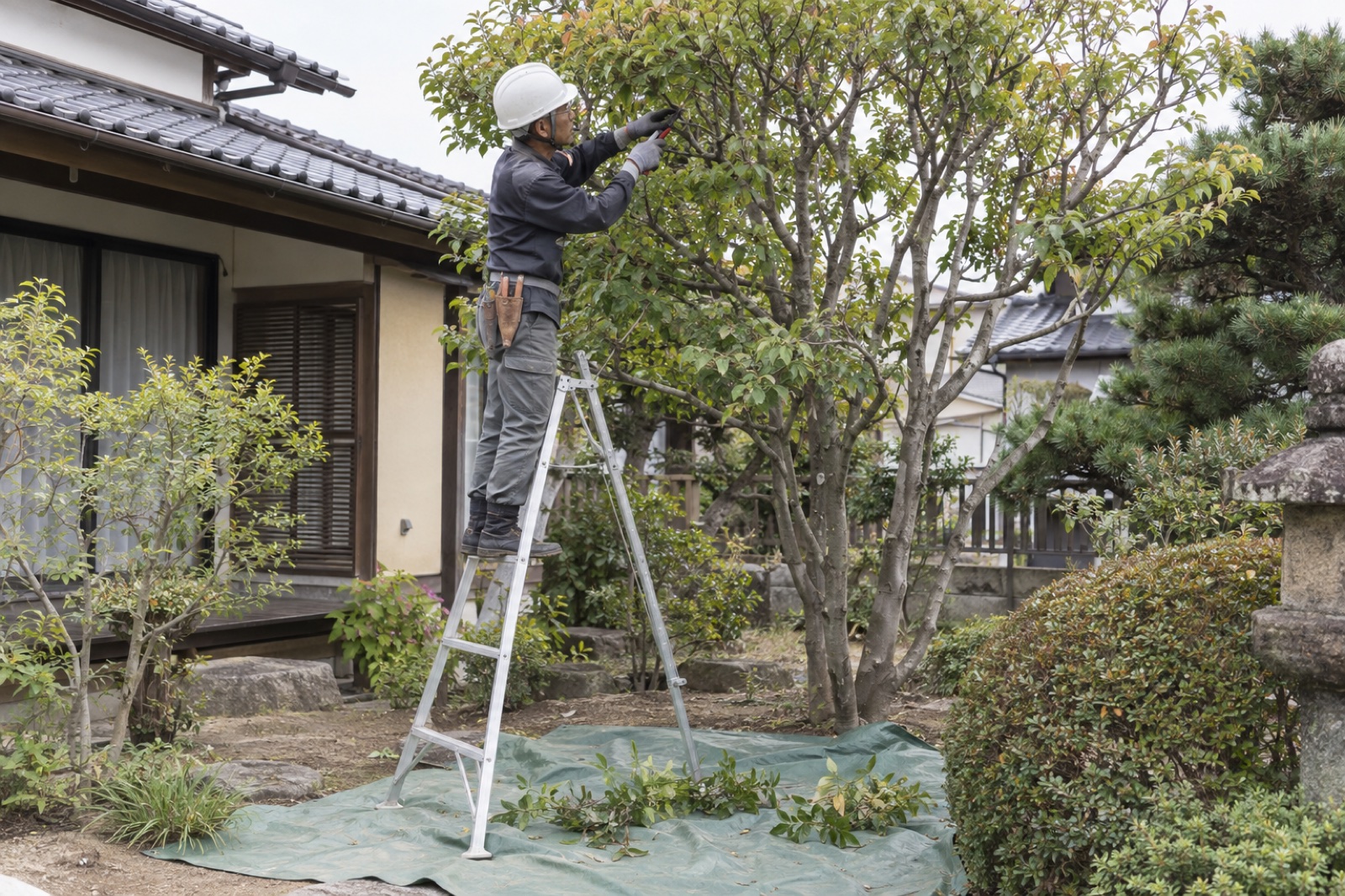 安定した三脚脚立を使って庭木の枝を剪定する職人(AI生成の作業イメージ)