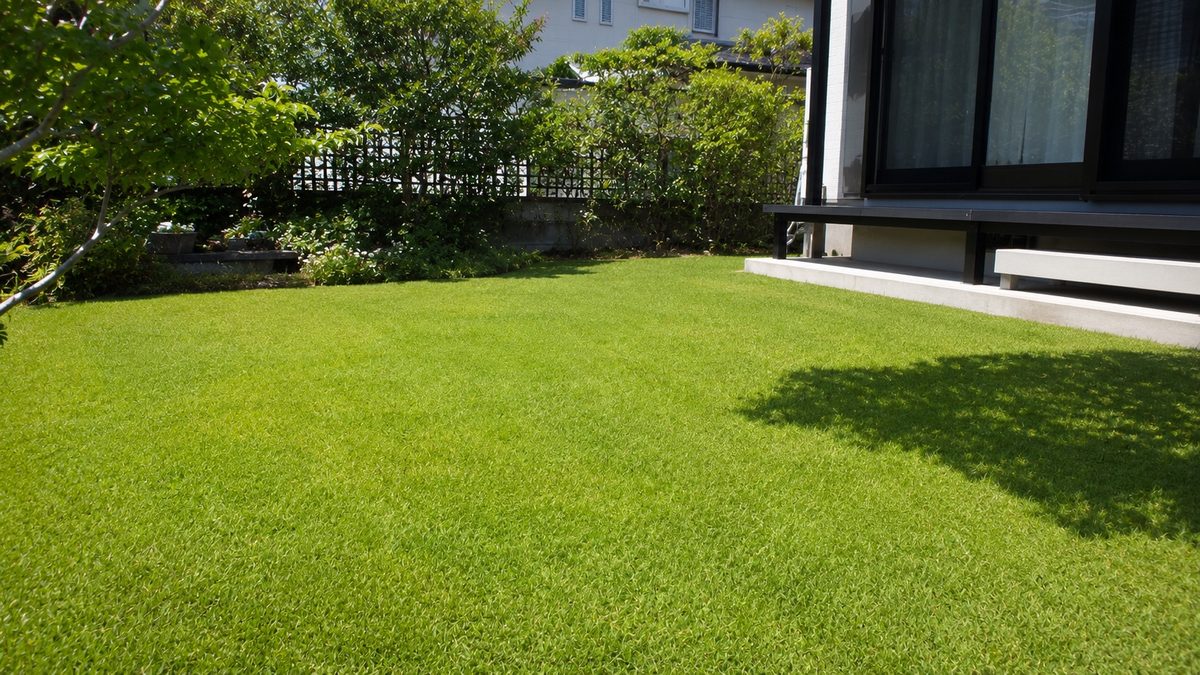 住宅の縁側に面した明るい芝生の庭(AI・構成見本)